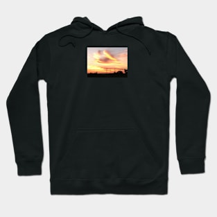 Golden duck Hoodie